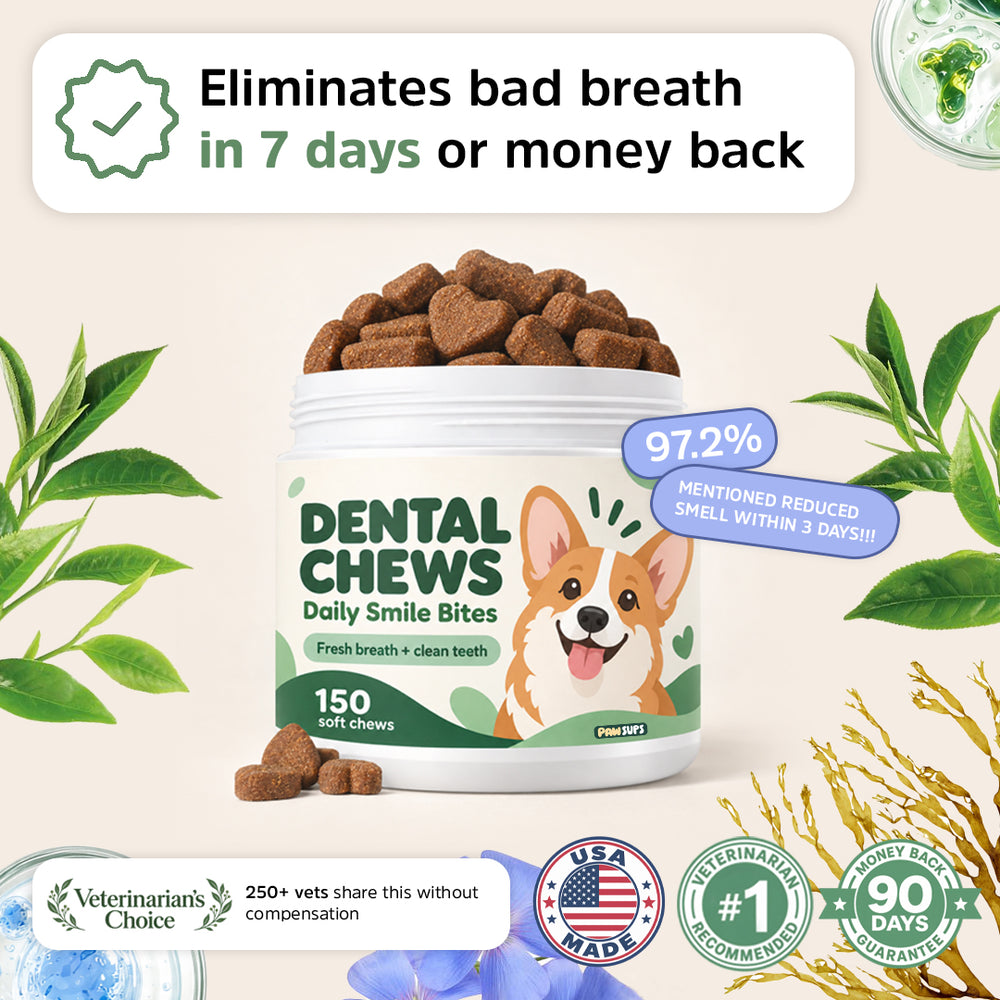 PawSups Dental Chews