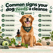 PawSups Parasite Cleanse Drops