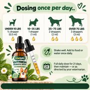 PawSups Parasite Cleanse Drops