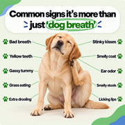 PawSups Fresh Breath Cleansing Drops