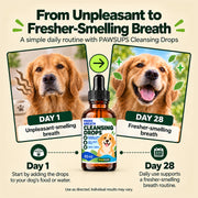 PawSups Fresh Breath Cleansing Drops
