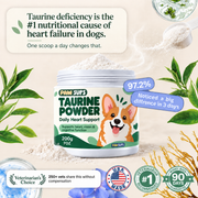 PawSups Taurine Powder