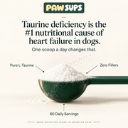 PawSups Taurine Powder