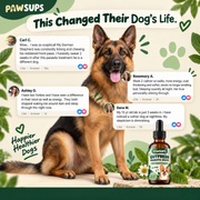 PawSups Parasite Cleanse Drops
