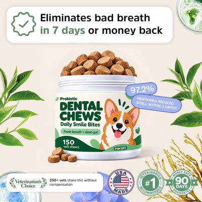 PawSups Probiotic Dental Chews
